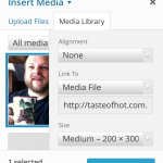 Publishing Content in WordPress' Mobile UI
